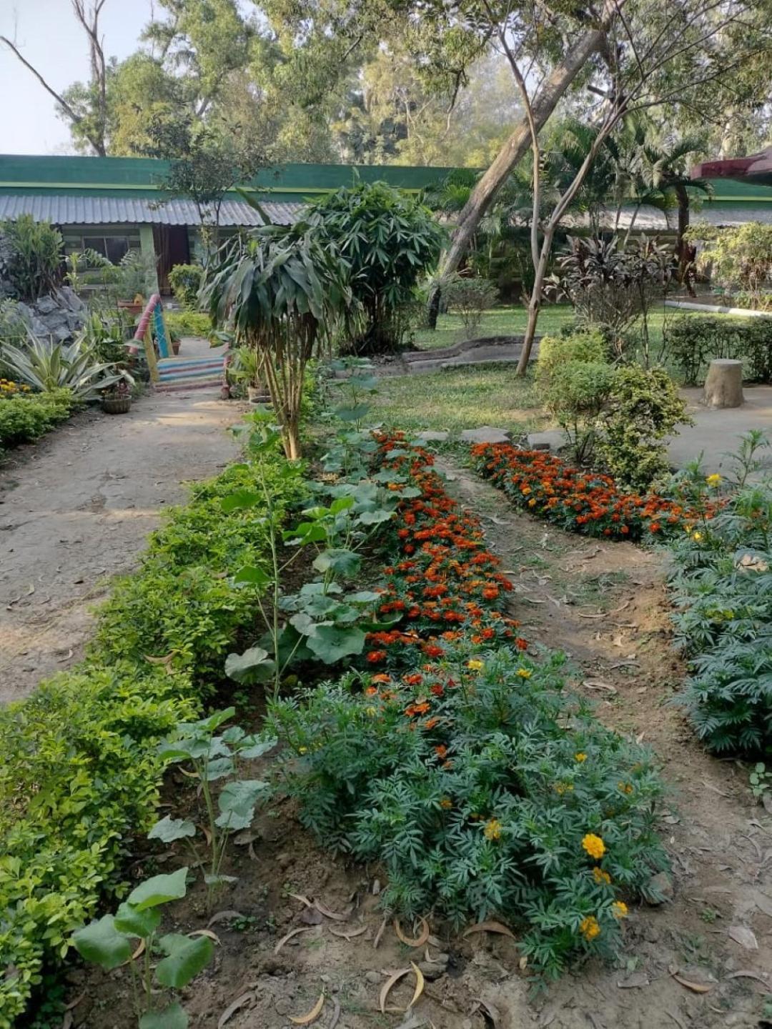 Lucky Beach Resorts , Balasore Chandipur Luaran gambar