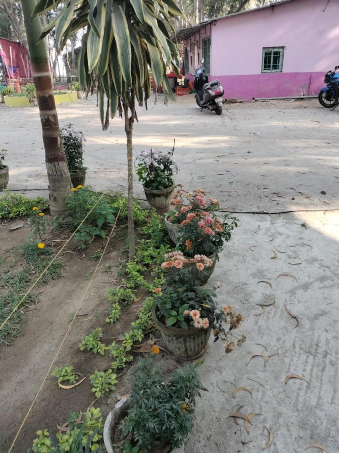Lucky Beach Resorts , Balasore Chandipur Luaran gambar