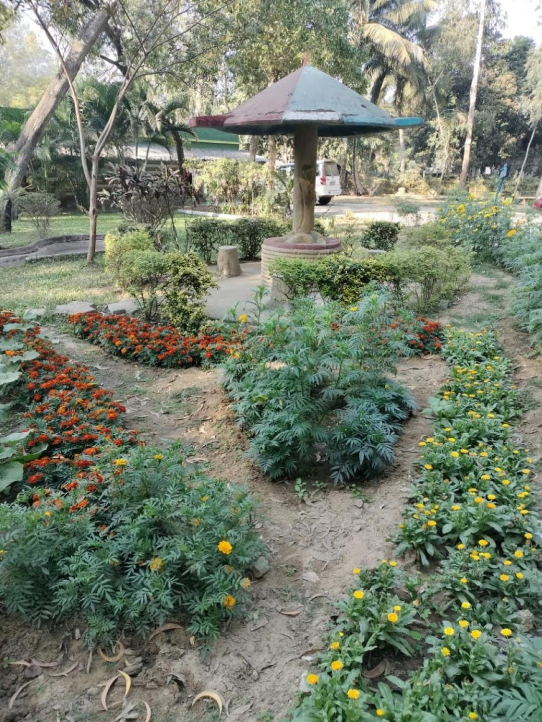 Lucky Beach Resorts , Balasore Chandipur Luaran gambar