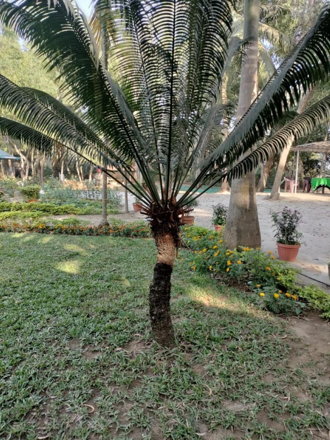 Lucky Beach Resorts , Balasore Chandipur Luaran gambar